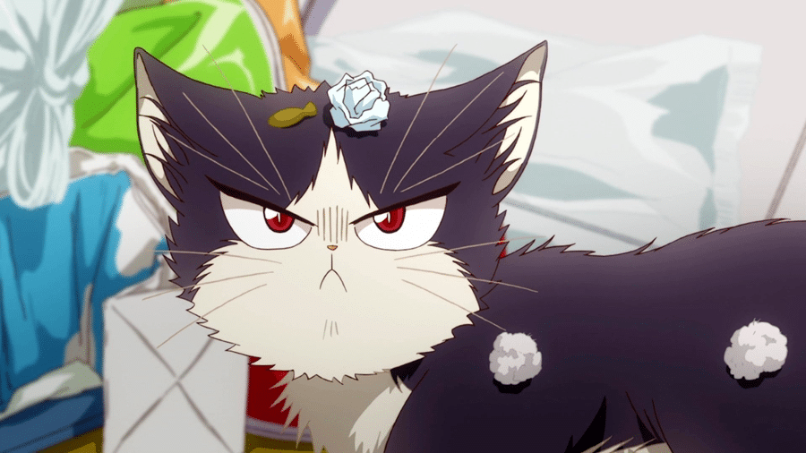 Los 4 mejores anime de gatos