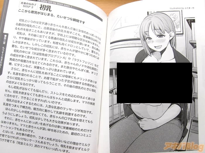 Esta Guia De Embarazo Con Ilustraciones Anime Parece Ser Un H 11 Copia
